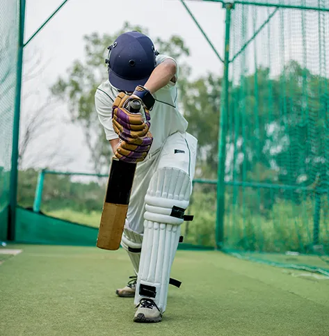 cricket